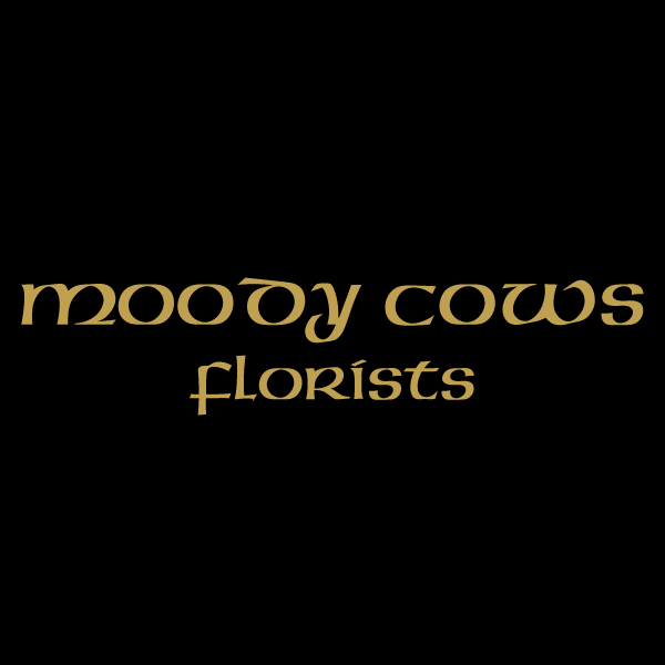 Moody Cows Florist
